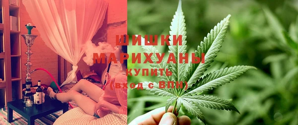 молекула духа Весьегонск