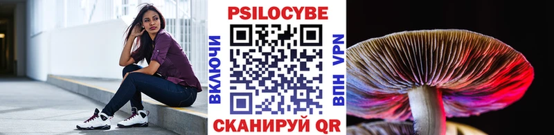 гидра ССЫЛКА мориарти формула Псилоцибиновые грибы мицелий Судогда